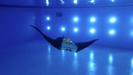 Manta ray underwater vehicle