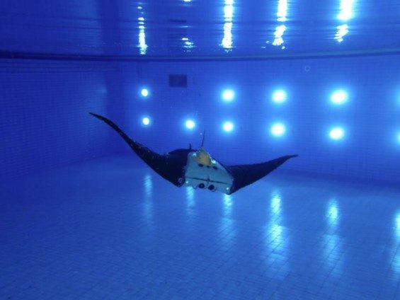 Manta ray underwater vehicle